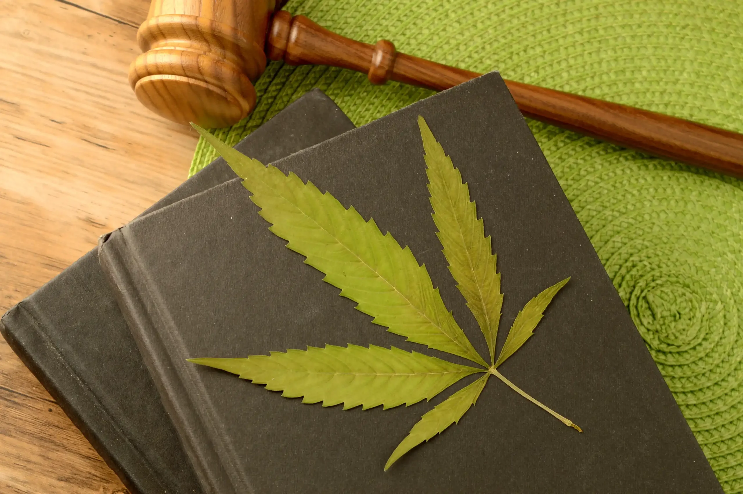 Mich. farmer avoids jail time
