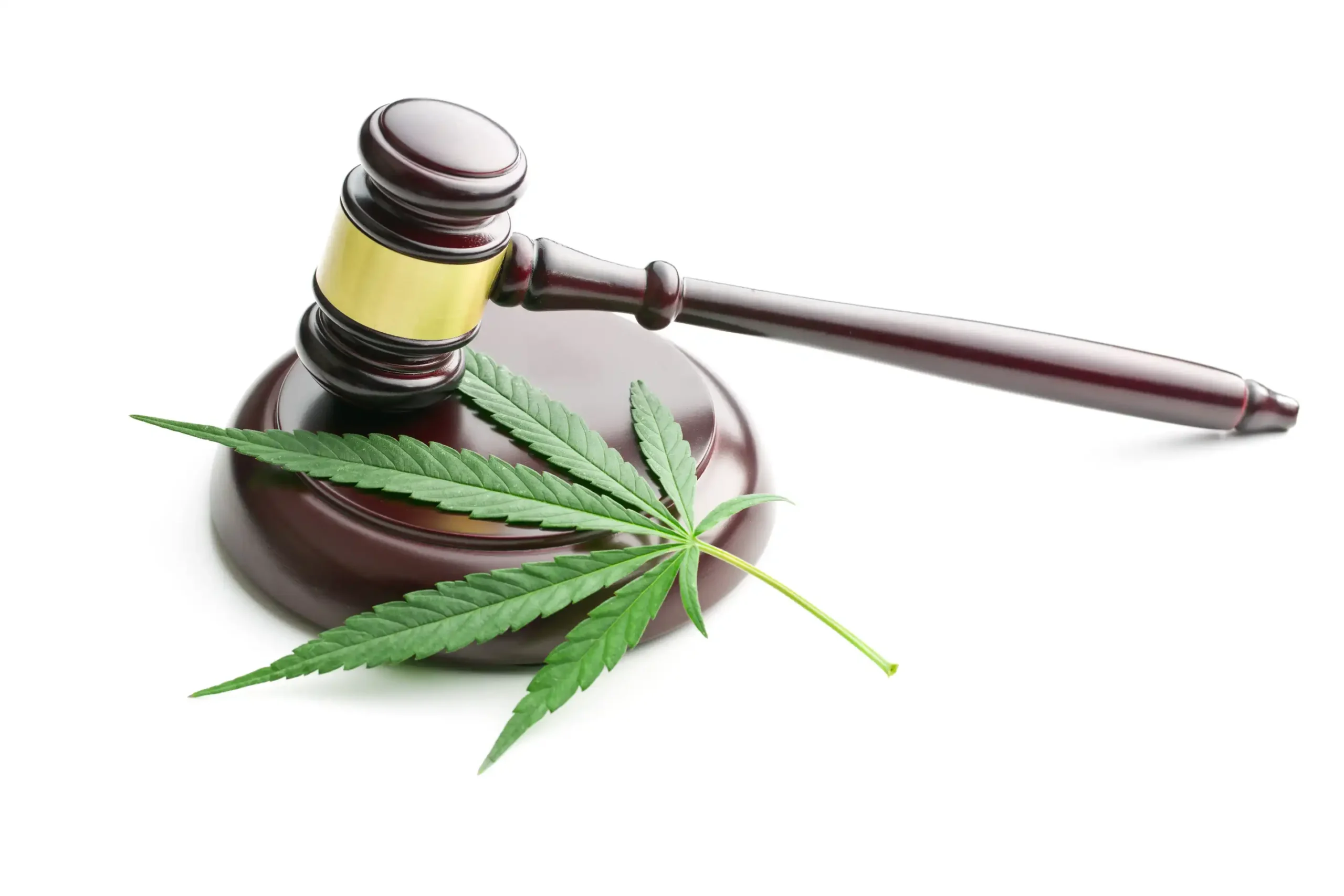 Mich. farmer with 8,000 pot plants gets probation